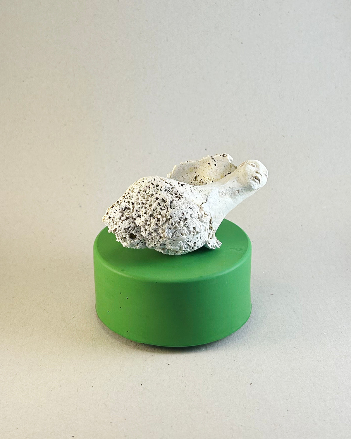 Carved Shells