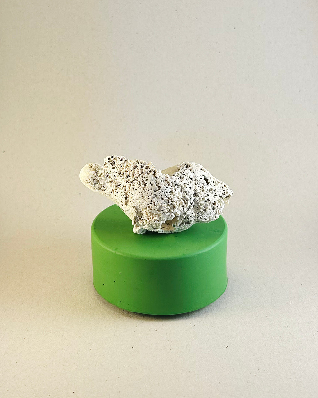 Carved Conch Shell Siren