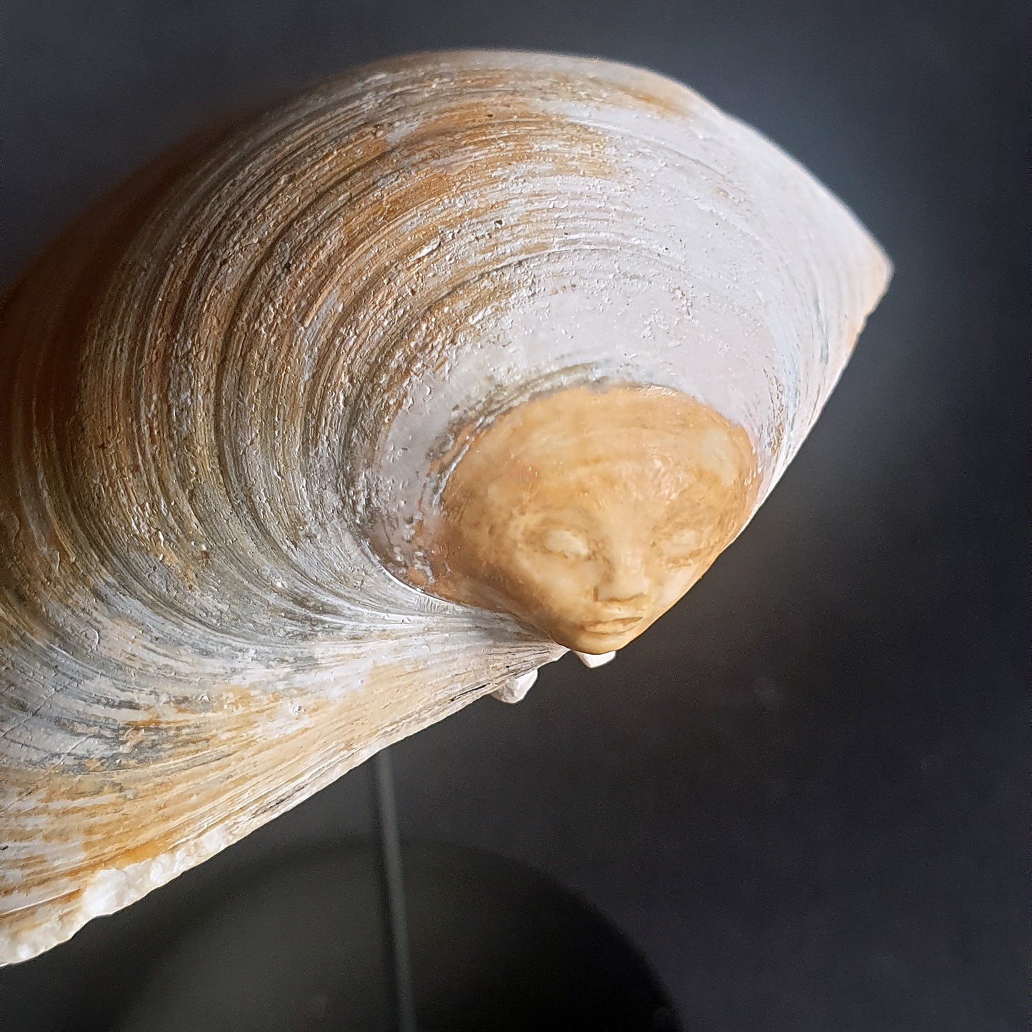 Carved Shell