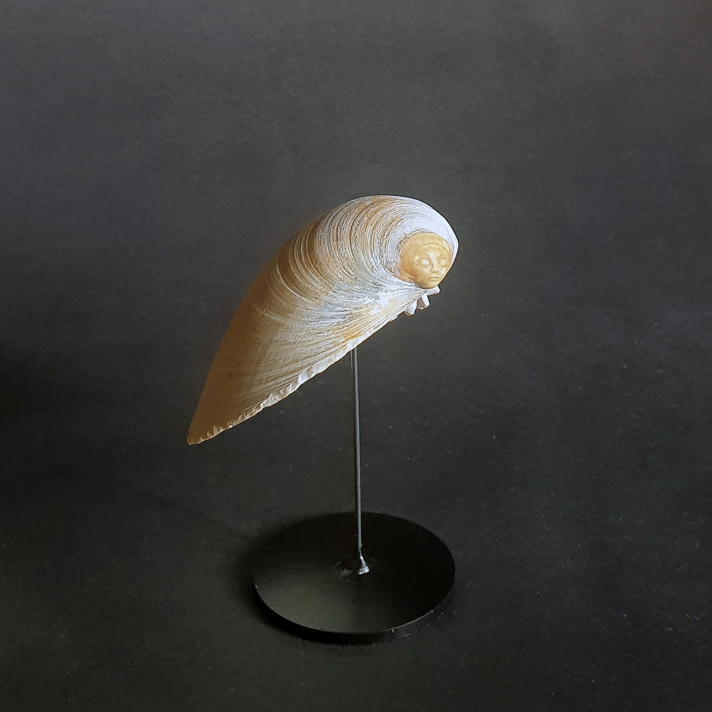 Carved Shell