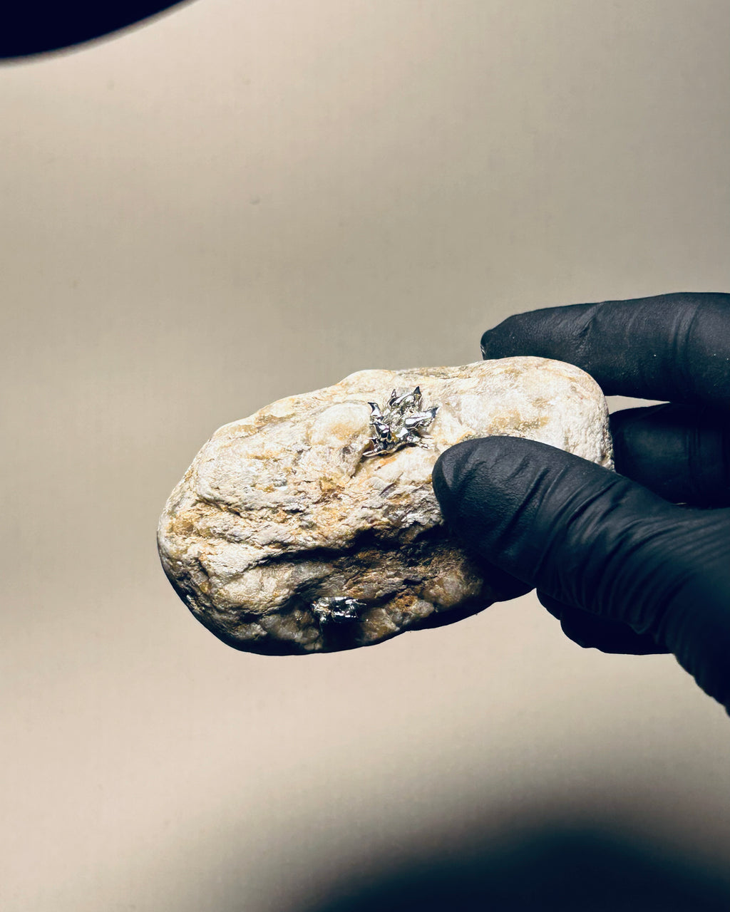 Large Silver Lichen on Mica Laced Rock