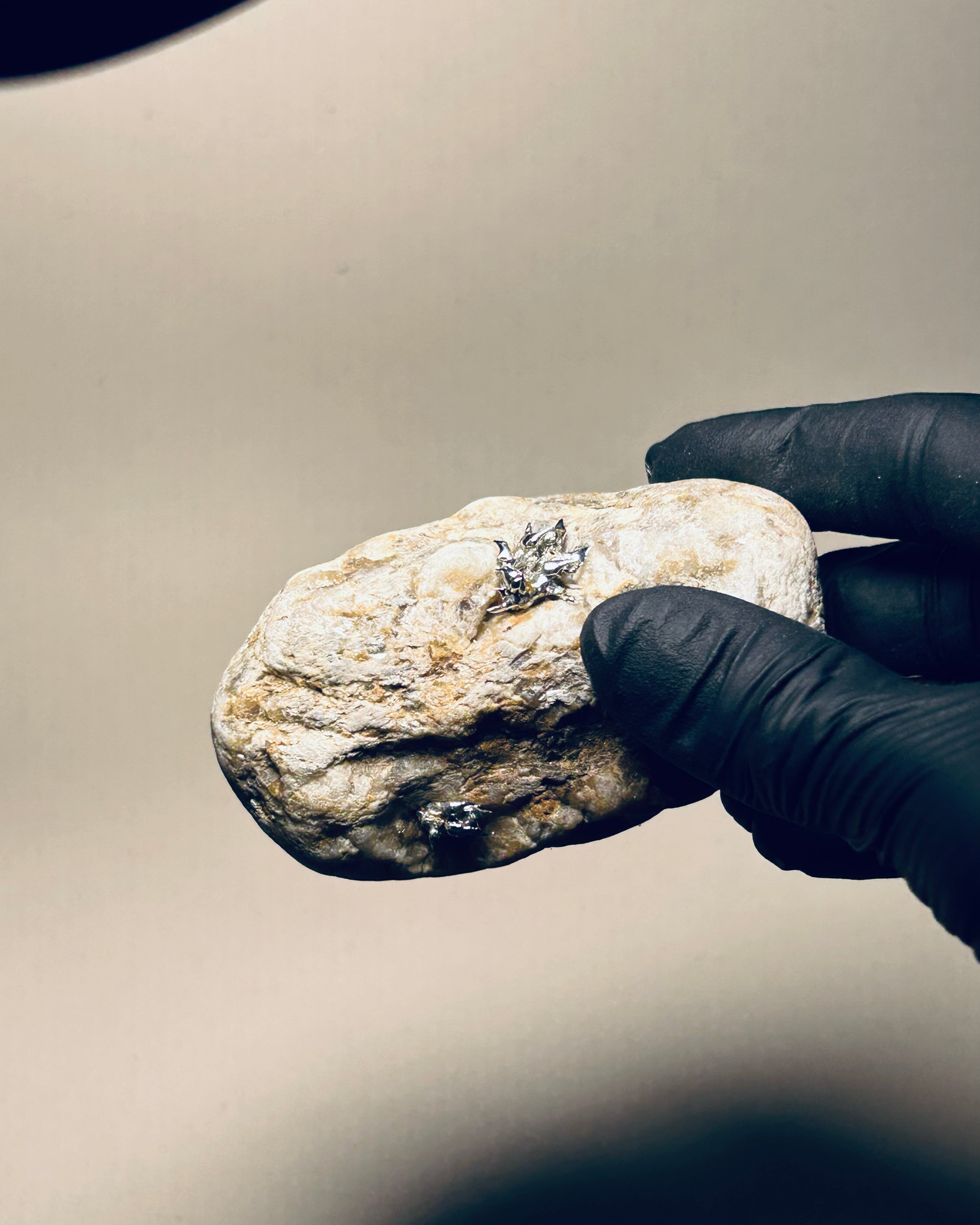 Large Silver Lichen on Mica Laced Rock