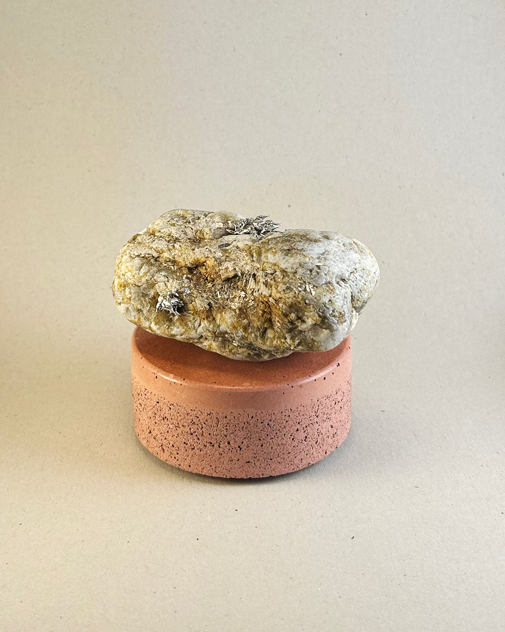 Large Silver Lichen on Mica Laced Rock