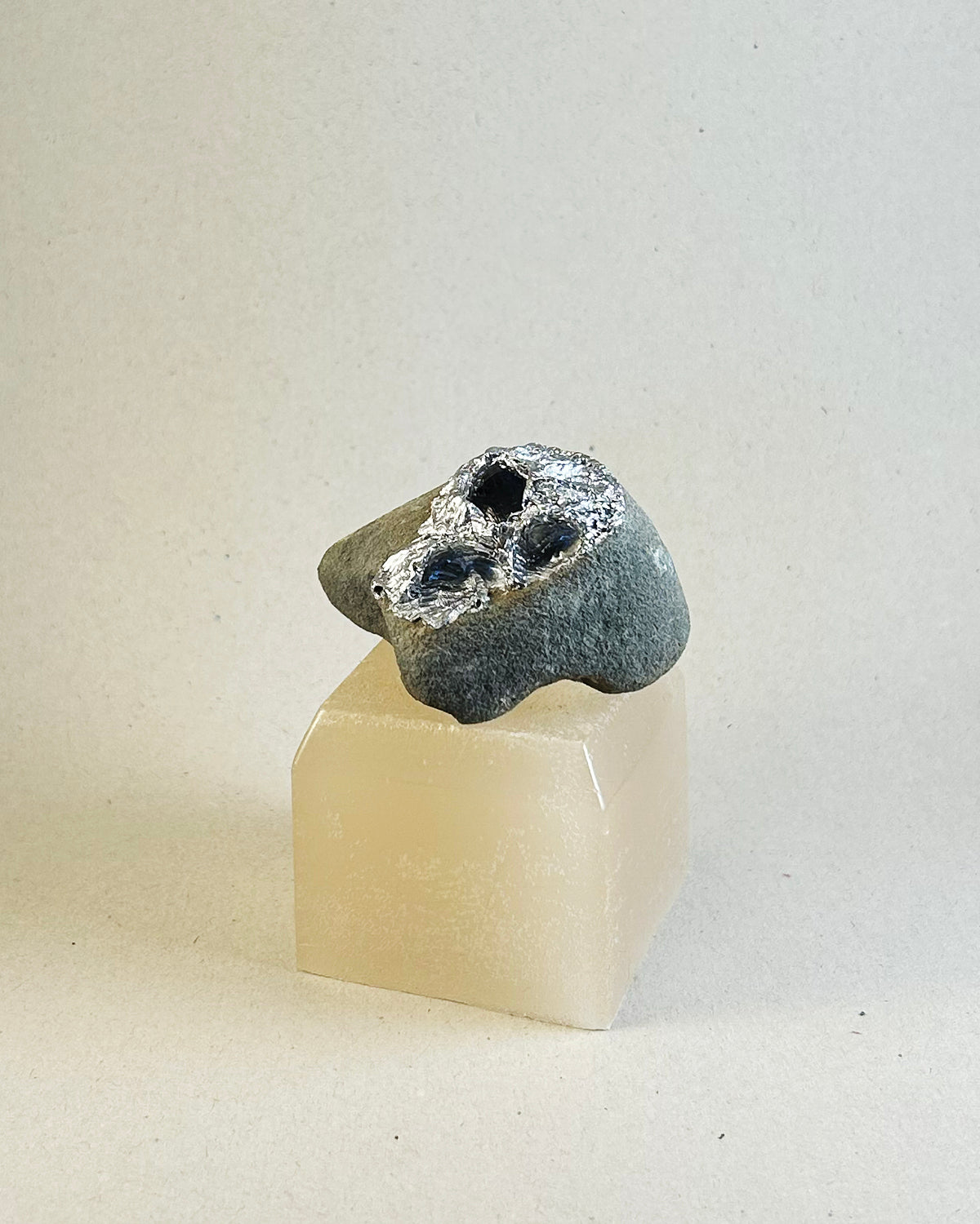 Metal Barnacle on Wax