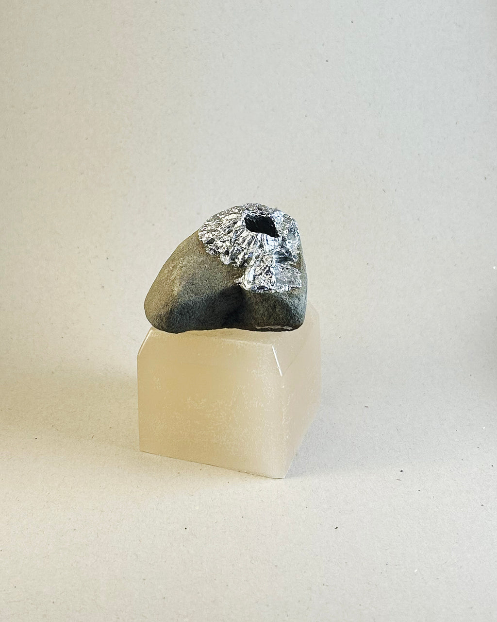 Metal Barnacle on Wax