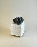 Metal Barnacles on Lava Rock