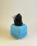 Metal Barnacle Tubes on Lava Rock
