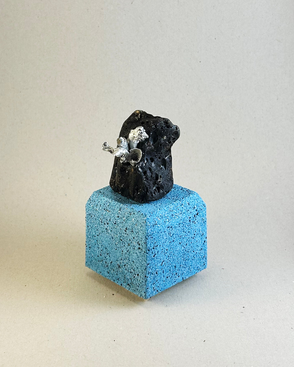 Metal Barnacle Tubes on Lava Rock
