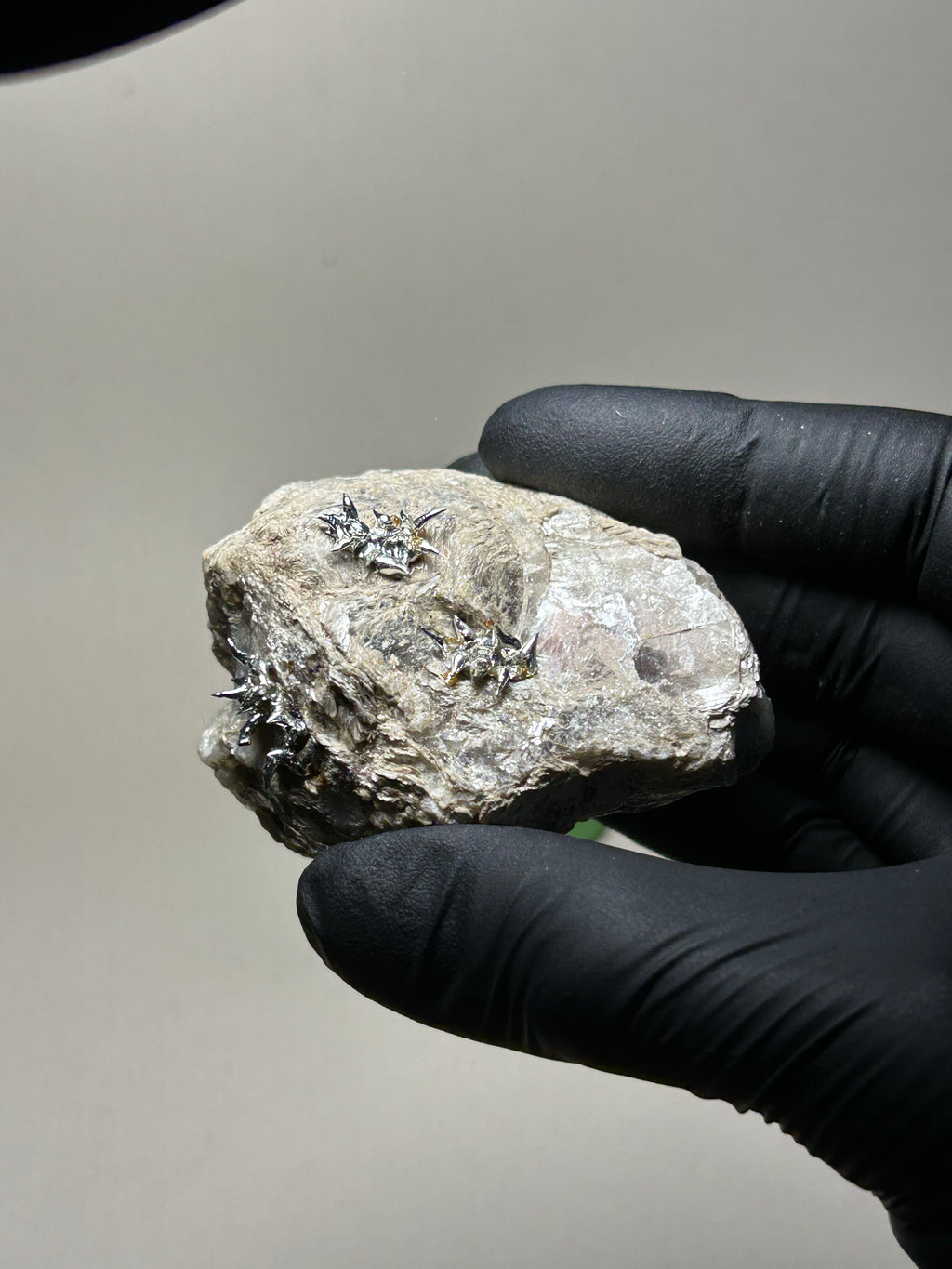 Medium Silver Lichen on Mica Laced Rock