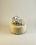 Medium Silver Lichen on Mica Laced Rock