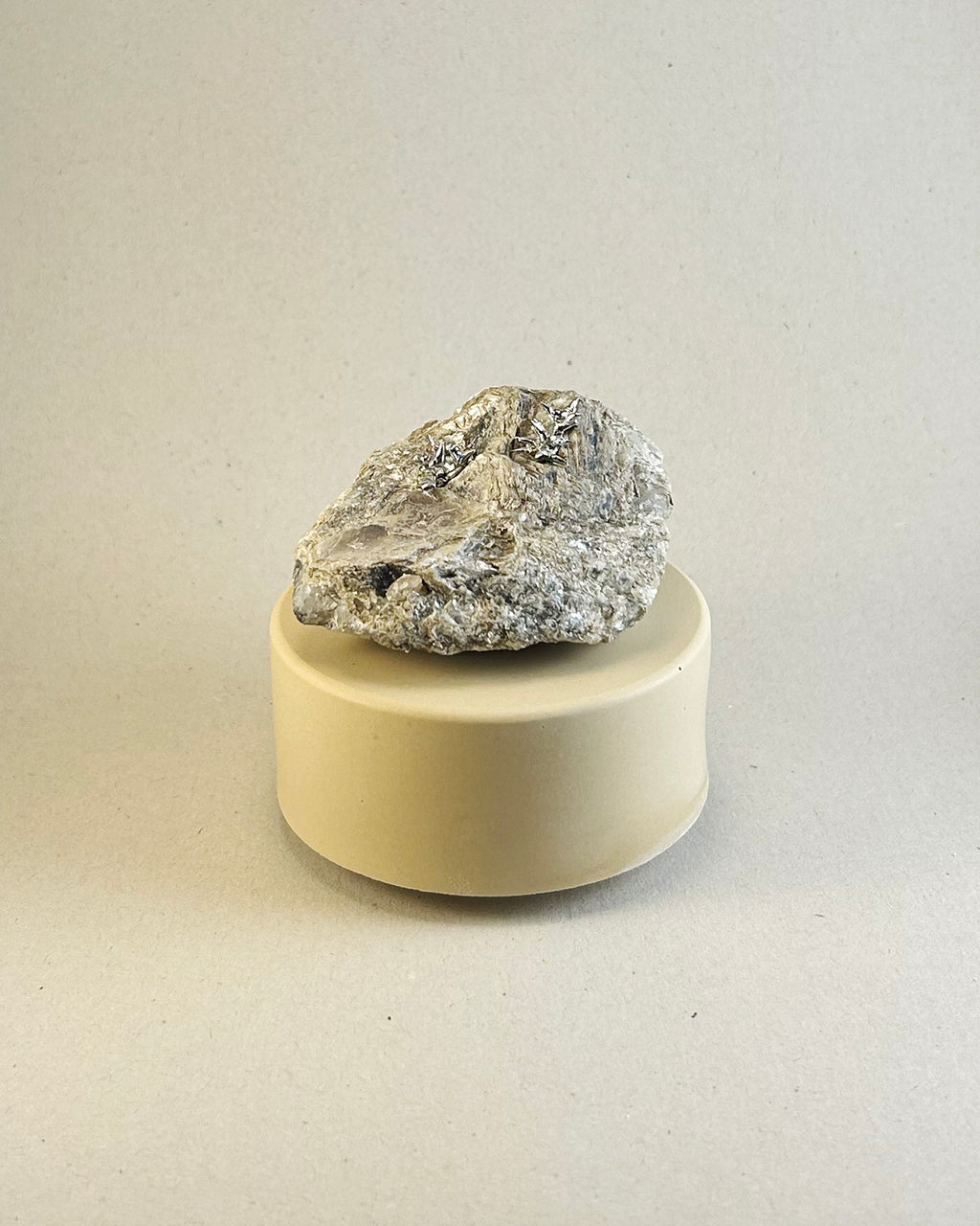 Medium Silver Lichen on Mica Laced Rock