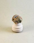 Small Silver Lichen on Mica Laced Rock